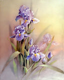 Purple Iris - Flowers Art Print of Original Water Color Painting - Iris, Floral