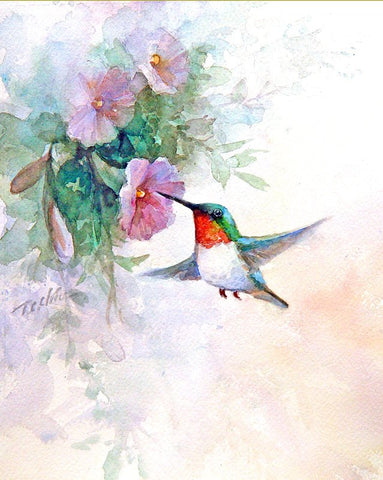 Humming Birds and Morning Glories  Archival Print of Watercolor Painting