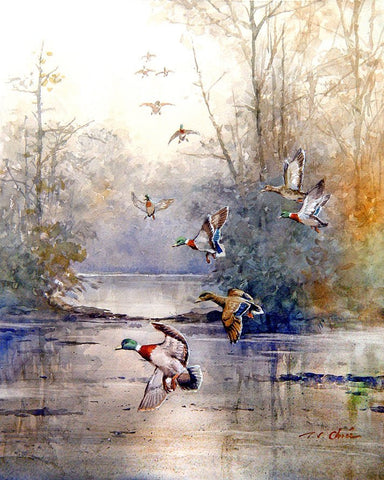 Ducks Art Print of watercolor painting - Forest Wildlife, Trees, Lake, Nature