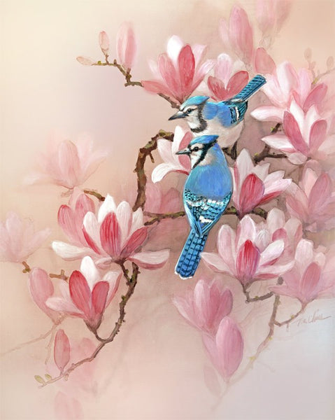 Bluejay and Magnolia  Art Print of Watercolor Painting