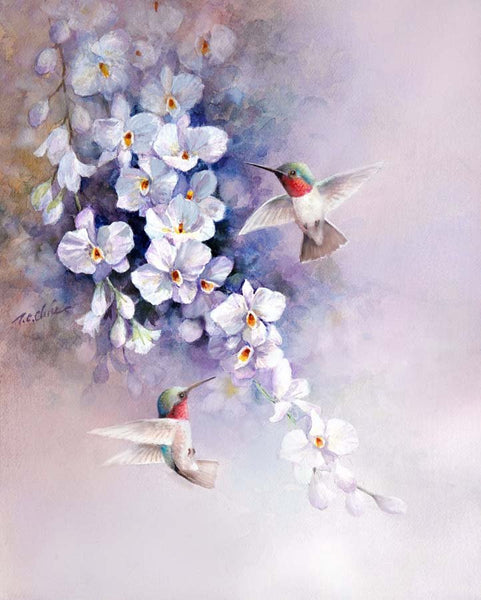 Humming Birds and  White Flowers  Archival Print of Watercolor Painting