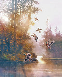 Ducks Art Print of watercolor painting - Forest Wildlife, Trees, Lake, Nature