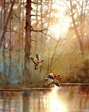 Duck Art Print of Watercolor Painting - Birds, Landscape, Lake